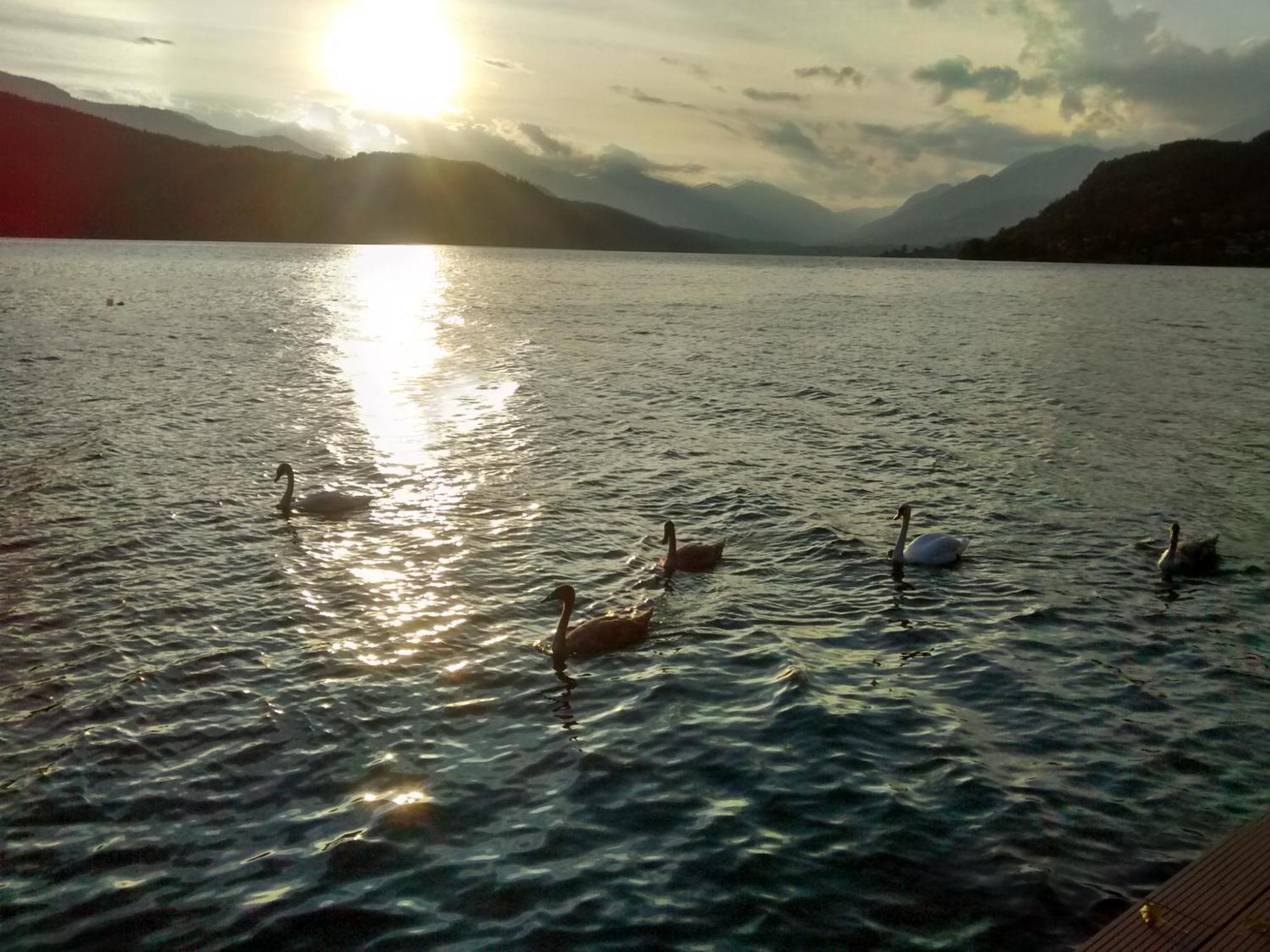 Ferienwohnungen Fischerhaus - Direkt Am See Millstatt Eksteriør bilde