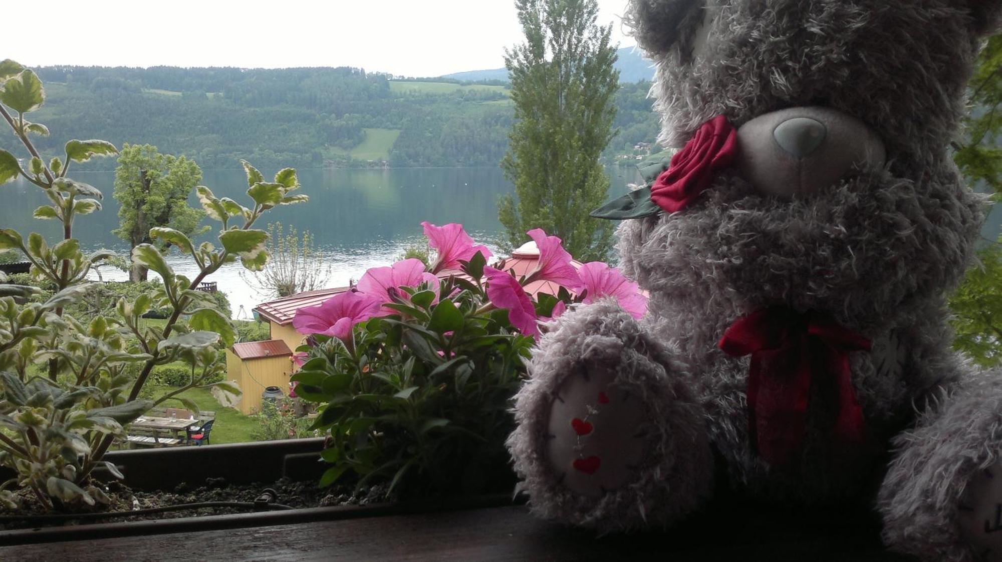 Ferienwohnungen Fischerhaus - Direkt Am See Millstatt Eksteriør bilde